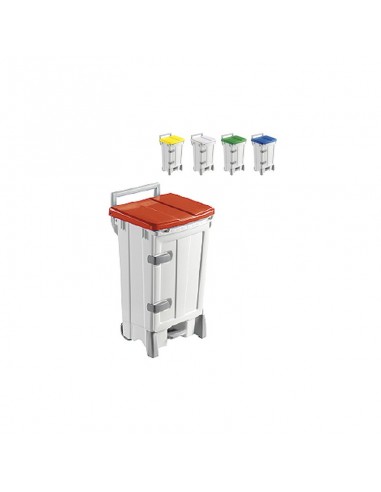 CONTENEDOR PEGASUS DELUX I. A. 100L C/PEDAL Y TAPA