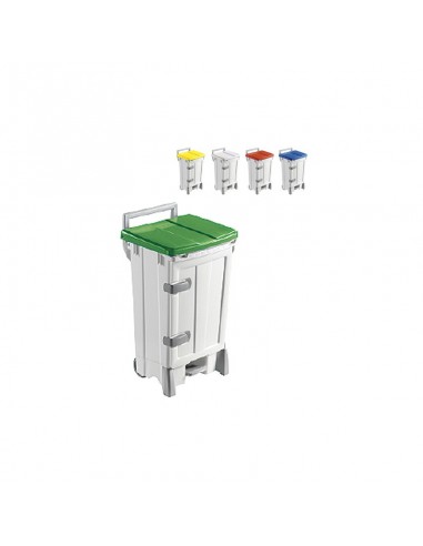 CONTENEDOR PEGASUS DELUX I. A. 100L C/PEDAL Y TAPA