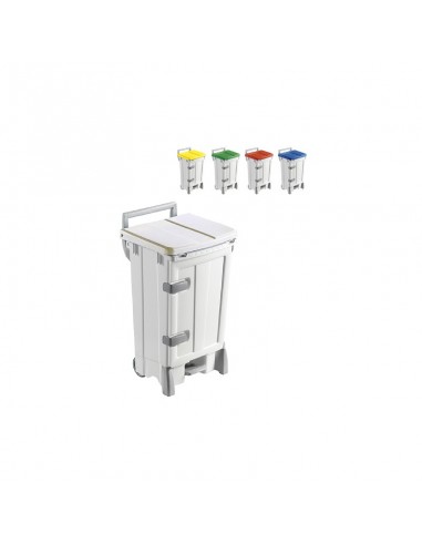 CONTENEDOR PEGASUS DELUX I. A. 100L C/PEDAL Y TAPA